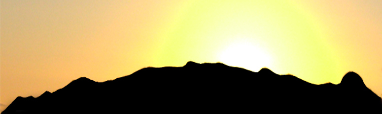 Page Banner Image