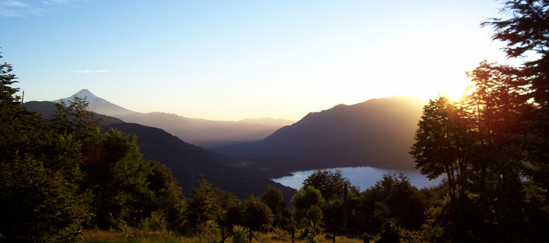 Page Banner Image